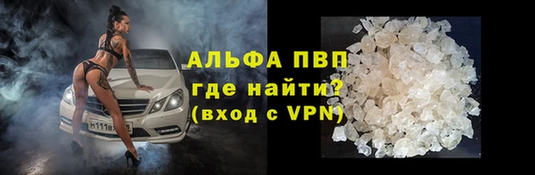 сатива Абаза