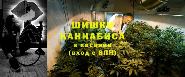 сатива Абаза