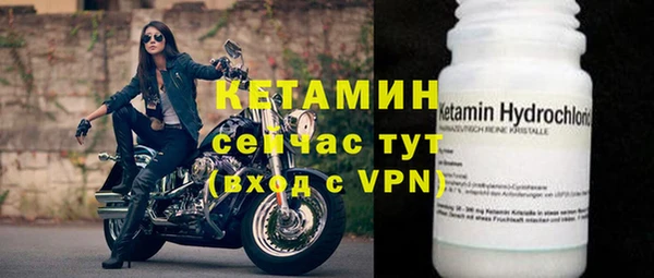 сатива Абаза